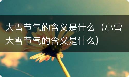 大雪节气的含义是什么（小雪大雪节气的含义是什么）