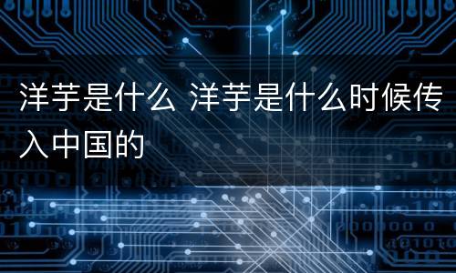 洋芋是什么 洋芋是什么时候传入中国的