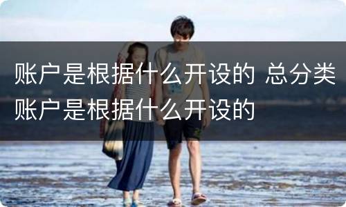 账户是根据什么开设的 总分类账户是根据什么开设的