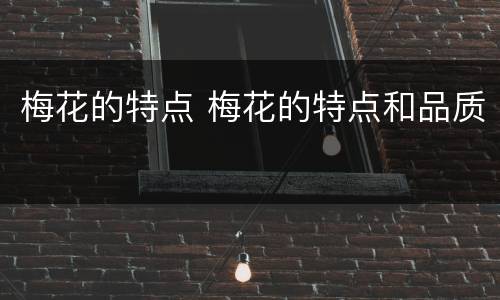 梅花的特点 梅花的特点和品质