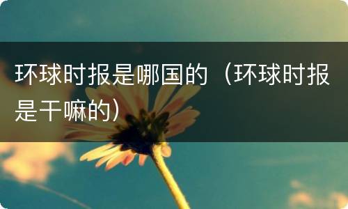 环球时报是哪国的（环球时报是干嘛的）