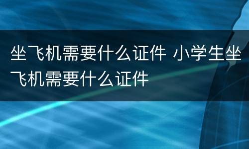 坐飞机需要什么证件 小学生坐飞机需要什么证件