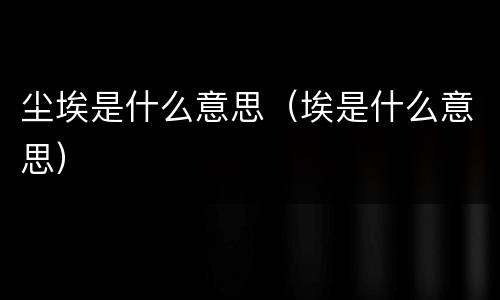 尘埃是什么意思（埃是什么意思）
