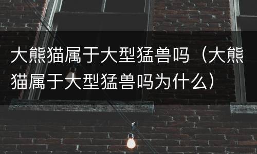 大熊猫属于大型猛兽吗（大熊猫属于大型猛兽吗为什么）