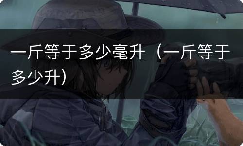 一斤等于多少毫升（一斤等于多少升）