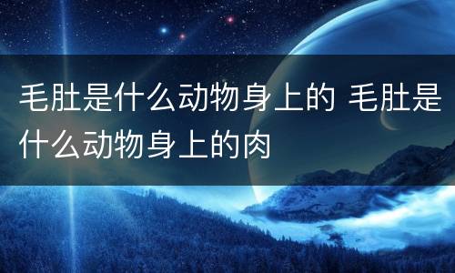 毛肚是什么动物身上的 毛肚是什么动物身上的肉