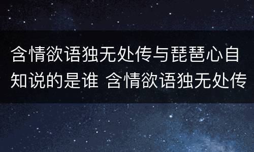 含情欲语独无处传与琵琶心自知说的是谁 含情欲语独无处传与琵琶心自知写的什么人