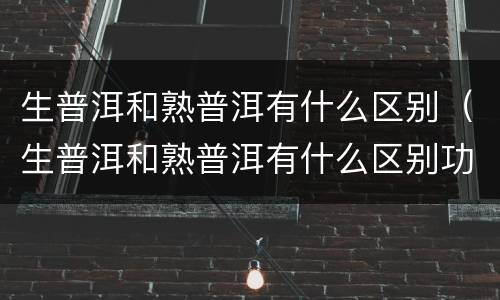 生普洱和熟普洱有什么区别（生普洱和熟普洱有什么区别功效）