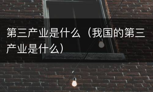 第三产业是什么（我国的第三产业是什么）