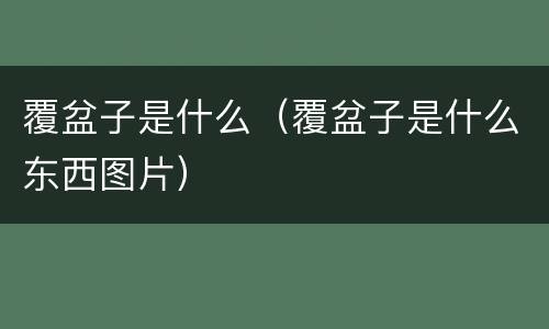 覆盆子是什么（覆盆子是什么东西图片）