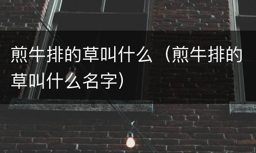 煎牛排的草叫什么（煎牛排的草叫什么名字）