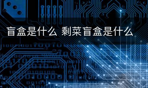 盲盒是什么 剩菜盲盒是什么