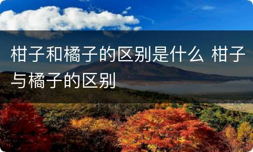 柑子和橘子的区别是什么 柑子与橘子的区别