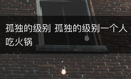 孤独的级别 孤独的级别一个人吃火锅