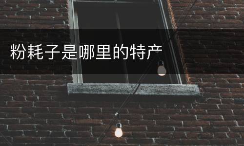 粉耗子是哪里的特产
