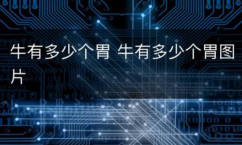 牛有多少个胃 牛有多少个胃图片
