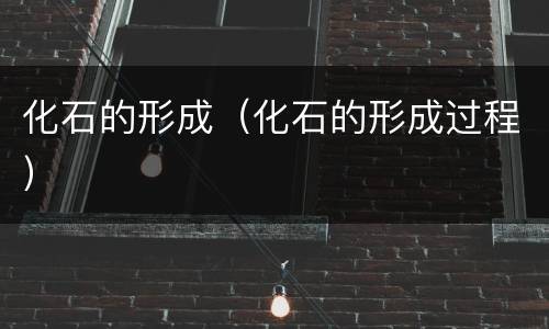 化石的形成（化石的形成过程）