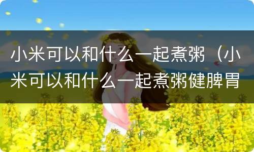 小米可以和什么一起煮粥（小米可以和什么一起煮粥健脾胃）