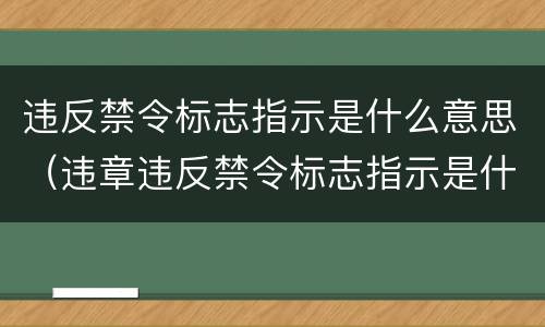 违反禁令标志指示是什么意思（违章违反禁令标志指示是什么意思）