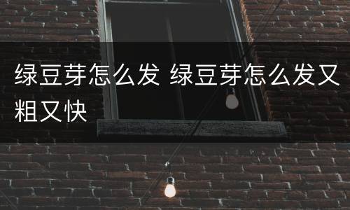 绿豆芽怎么发 绿豆芽怎么发又粗又快