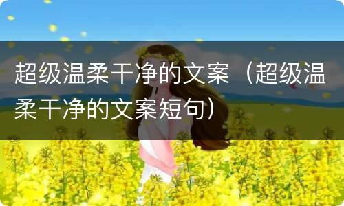 超级温柔干净的文案（超级温柔干净的文案短句）