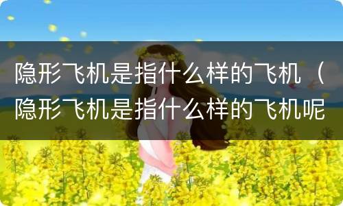 隐形飞机是指什么样的飞机（隐形飞机是指什么样的飞机呢）