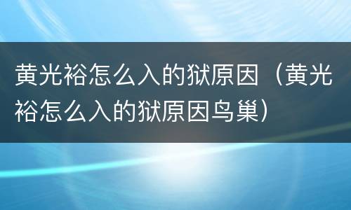 黄光裕怎么入的狱原因（黄光裕怎么入的狱原因鸟巢）
