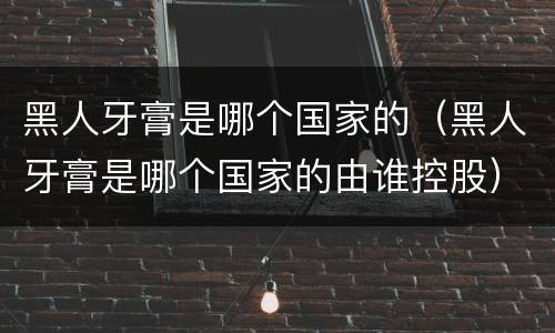 黑人牙膏是哪个国家的（黑人牙膏是哪个国家的由谁控股）