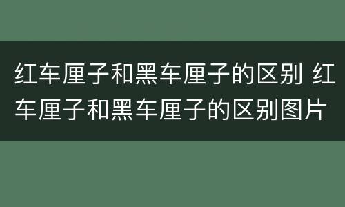 红车厘子和黑车厘子的区别 红车厘子和黑车厘子的区别图片
