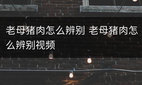 老母猪肉怎么辨别 老母猪肉怎么辨别视频