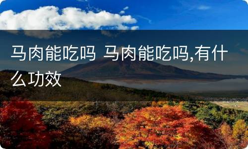 马肉能吃吗 马肉能吃吗,有什么功效