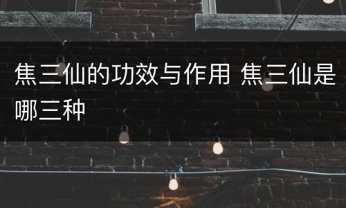 焦三仙的功效与作用 焦三仙是哪三种