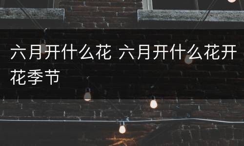 六月开什么花 六月开什么花开花季节