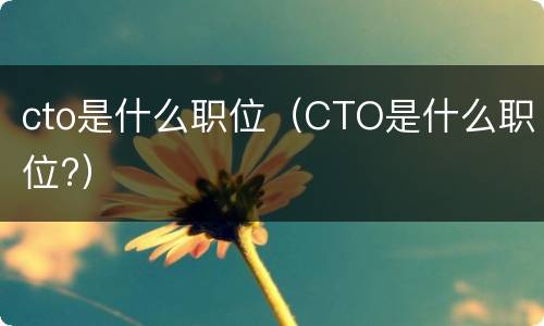 cto是什么职位（CTO是什么职位?）