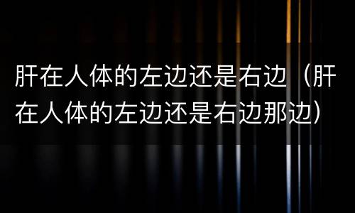 肝在人体的左边还是右边（肝在人体的左边还是右边那边）