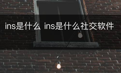ins是什么 ins是什么社交软件