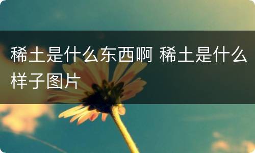 稀土是什么东西啊 稀土是什么样子图片