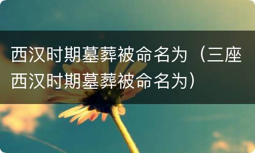西汉时期墓葬被命名为（三座西汉时期墓葬被命名为）