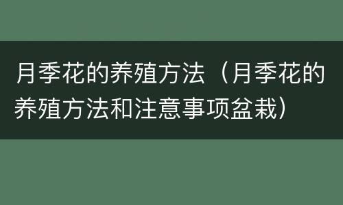 月季花的养殖方法（月季花的养殖方法和注意事项盆栽）