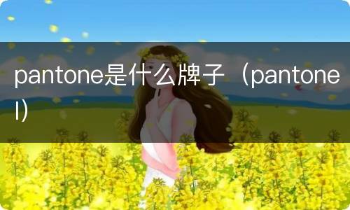 pantone是什么牌子（pantonel）