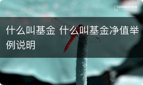 什么叫基金 什么叫基金净值举例说明