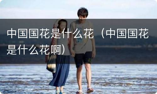 中国国花是什么花（中国国花是什么花啊）