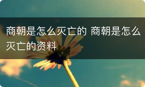 商朝是怎么灭亡的 商朝是怎么灭亡的资料