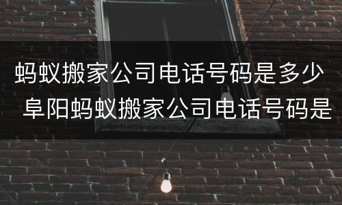 蚂蚁搬家公司电话号码是多少 阜阳蚂蚁搬家公司电话号码是多少