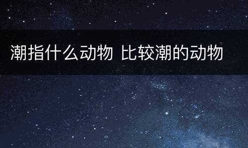 潮指什么动物 比较潮的动物