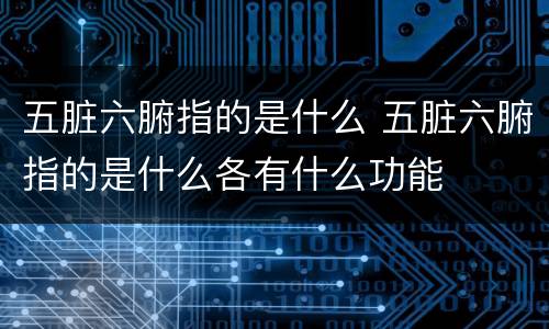 五脏六腑指的是什么 五脏六腑指的是什么各有什么功能