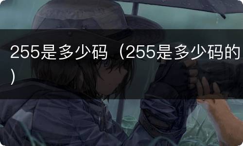 255是多少码（255是多少码的）