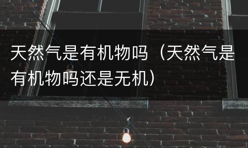 天然气是有机物吗（天然气是有机物吗还是无机）