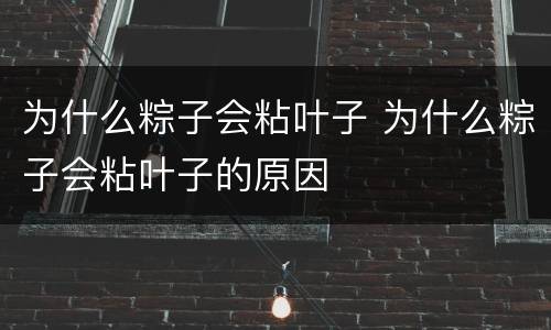 为什么粽子会粘叶子 为什么粽子会粘叶子的原因