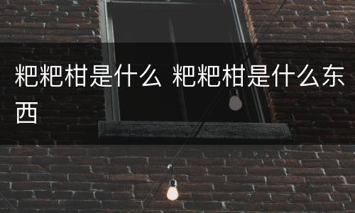 粑粑柑是什么 粑粑柑是什么东西